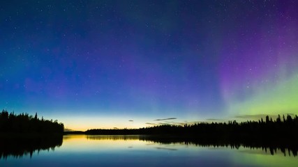 Wall Mural - Colorful Northern lights (Aurora borealis) in the sky