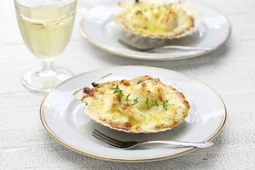 coquilles saint jacques gratin, french scallop cuisine