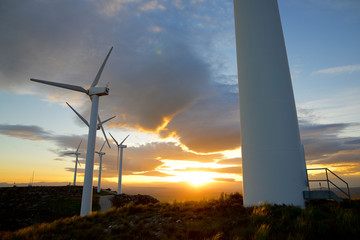 wind energy view