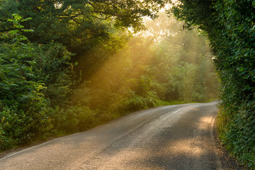 Wall Mural - golden majestic light beams shining through tree canopies onto a country road in the english peak di