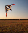 © Solid photos - Young man playing with flying kite on sunny summer day.
