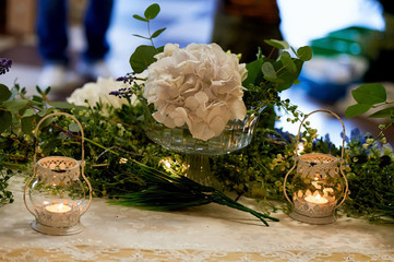 Wedding table decoration with white hydrangeas, a lace tablecloth and curly greens