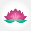 Lotus flower icon vector. Pink and green beauty design. Yoga holistic therapy concept.
