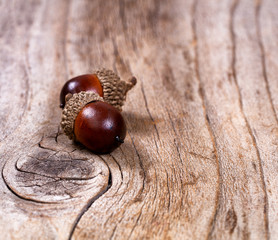 Poster - Acorns lying on rustic wooden boards