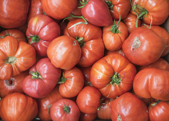 a group of fresh red tomatoes, full frame.