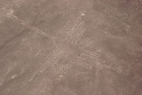 Fototapeta Sawanna - Nazca Lines seen from helicopter, Peru

