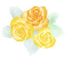 Orange And Yellow Rose Watercolor .Grunge Style. Isolated On White. Vector Illustration.