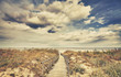 © MaciejBledowski - Retro toned wooden footpath leading to a beach in a cloudy day.