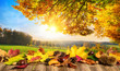 Herbst Konzept mit bunten Blättern auf Holz vor einer sonnigen Landschaft