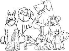 Purebred Dogs Coloring Page