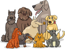Purebred Dog Characters Group