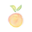 Fresh watercolor fruit