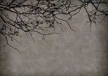 A Halloween Background Of Mottled Brown And Grey With Tree Branches