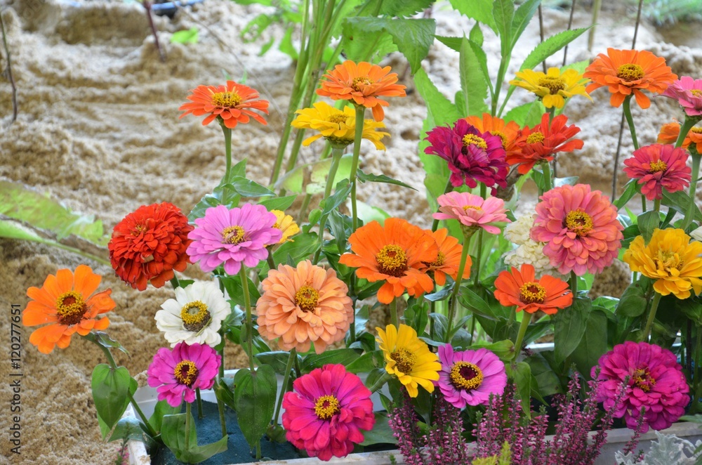 blumenkasten für ecke Winkel-hochbeet main image 1
