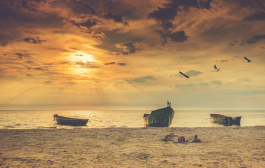 Coastal landscape with anchored fishing boats and migrating birds, Baltic Sea