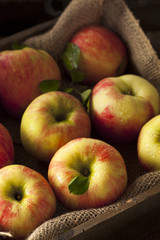 Poster - Raw Organic Honeycrisp Apples