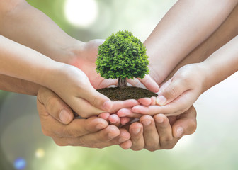 Parent - children planting together big tree on family hands on blur nature greenery forest background: World environment day reforesting eco bio arbor CSR ESG ecosystem reforestation reform concept