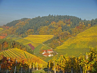 Wall Mural - sonniger Herbsttag mit bunten Farben im Schwarzwald