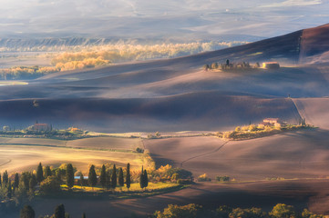 Wall Mural - Rural Landscape with Cypress