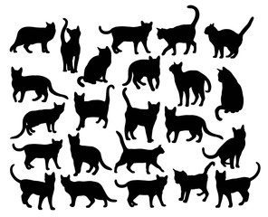 Canvas Print - Cat Vector, art silhouette design