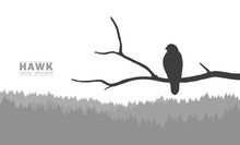 Vector Illustration: Silhouette Of Buzzard Sitting On A Dry Branch In A Forest