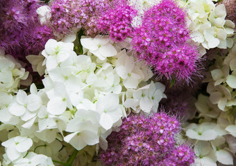 Wall Mural - bouquet of white hydrangea