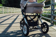Baby stroller on running path in park