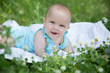 © tmelnikova - Baby girl crawling on the grass. Selective focus her eyes.