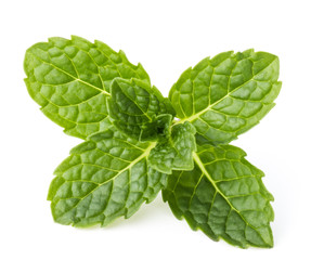 Fresh mint herb leaves isolated on white background cutout