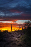 Fototapeta Do pokoju - Phoenix Arizona Night Scene after Sunset
