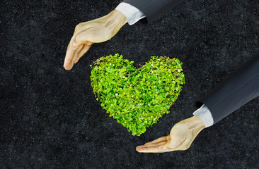 Wall Mural - hands of businessman holding green heart shaped tree / business with environmental concern / csr / Go green / Corporate Social Responsibility / Sustainable development