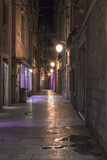 Fototapeta Uliczki - Empty alley in old town Sibenik at night