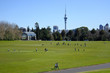 © Rafael Ben-Ari - Landscape of Auckland Domain New Zealand