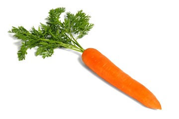 Wall Mural - fresh carrot on white