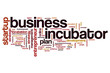 Business incubator word cloud