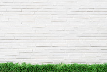 White Wall Grass Background