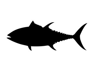 Wall Mural - Bluefin tuna silhouette. Vector illustration.