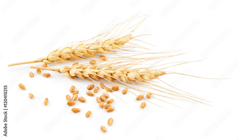 Ears of wheat - obrazy, fototapety, plakaty 