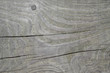 © hary_cz - Wood texture. Lining boards wall. Wooden background pattern. Showing growth rings
