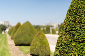 Wall Mural - Invalides Garden