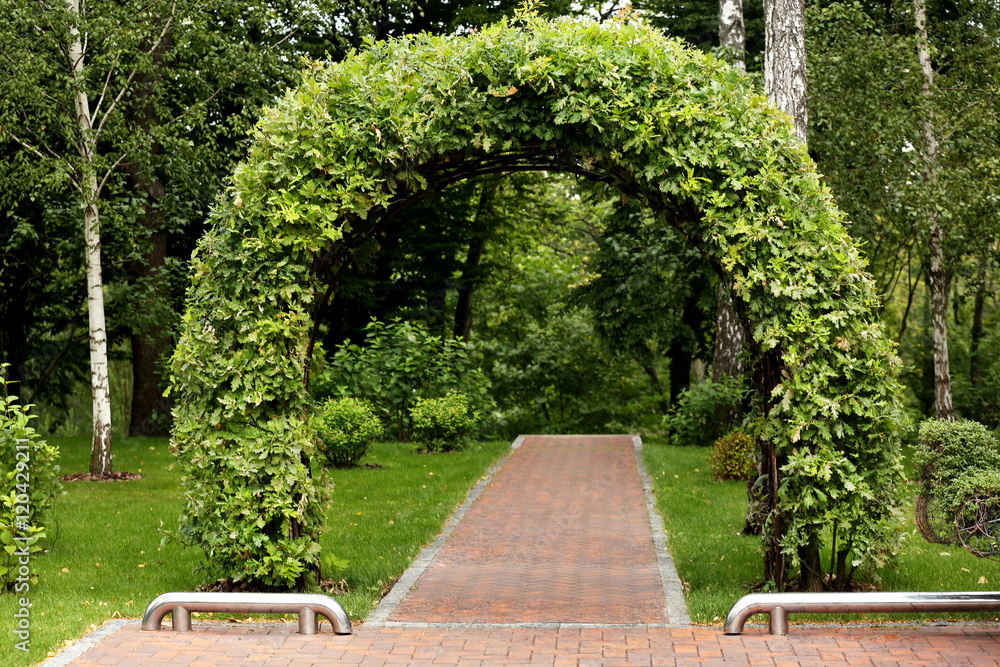 Park with green arch made of plants