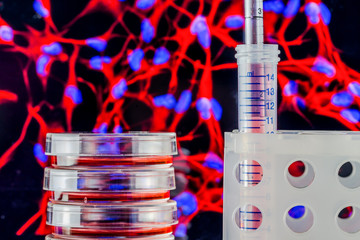 Poster - Cell culture with an image of fluorescent stained cells