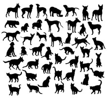 Pet Animal, Dog And Cat Silhouettes, Art Vector Design