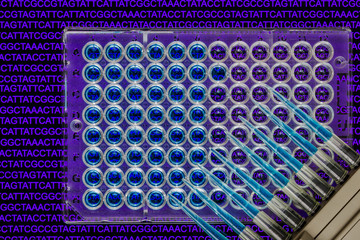 Wall Mural - A 96-well plate with samples with a nucleic acid sequence background