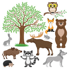 Wall Mural - Forest animals. 