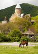 The horse and the Ananuri castle on the background.