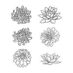 Wall Mural - Set of flowers hand draw