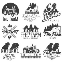 Vector Set Of Farm Labels. Monochrome Logos, Badges, Banners And Emblems In Vintage Style. Isolated Illustration