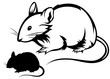 mouse silhouette and black and white outline