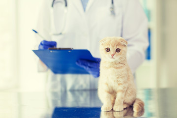 Sticker - close up of vet with clipboard and cat at clinic